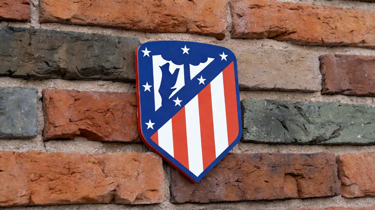 viammc_1c9c7651.jpg (392.6 Kb)